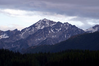 DSC05341