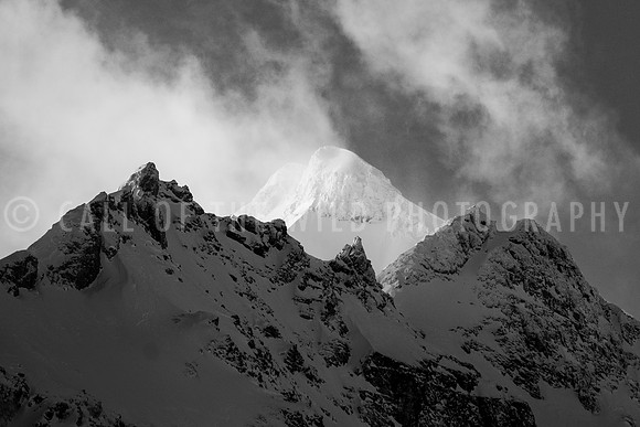 Photographer - Michael Fox; Location - Mount Matier; Date - January 2021