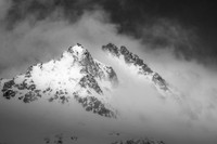 Phalanx Cloaked in Mist