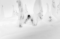 Athlete - Javier Solansa; Location - Callaghan Valley; Date - January 2019