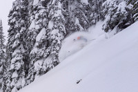 Skier in overhead powder in trees