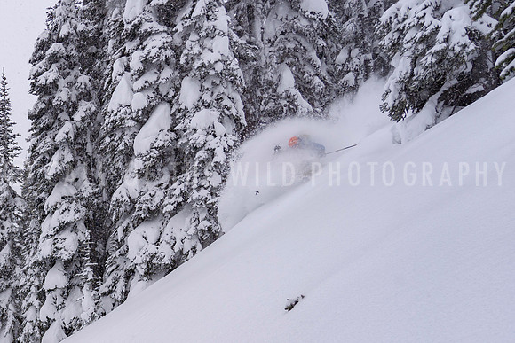 Skier in overhead powder in trees