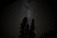 DSC04317