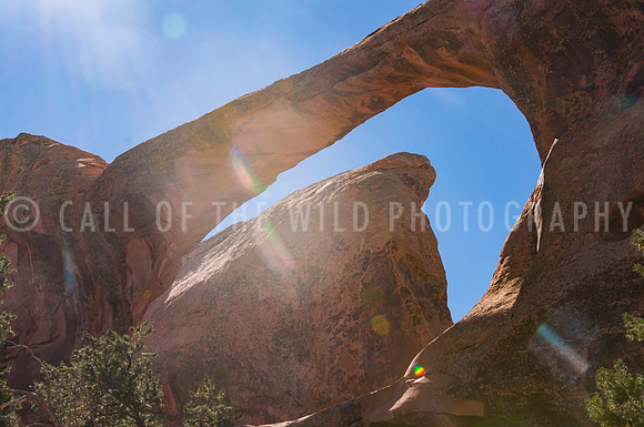 Arches National Park