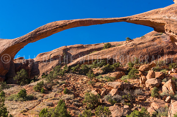 Delicate Arch