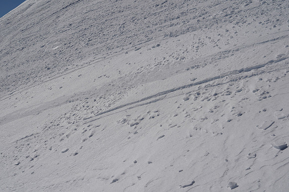 DSC03575