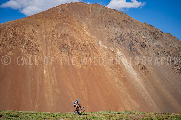 DSC02982 [Adjusted]