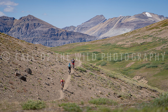 DSC02994 [Adjusted]