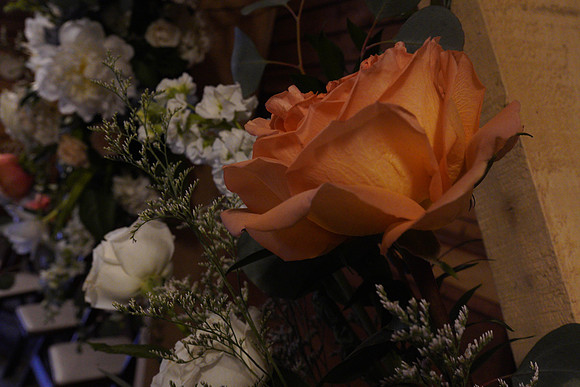 DSC04154