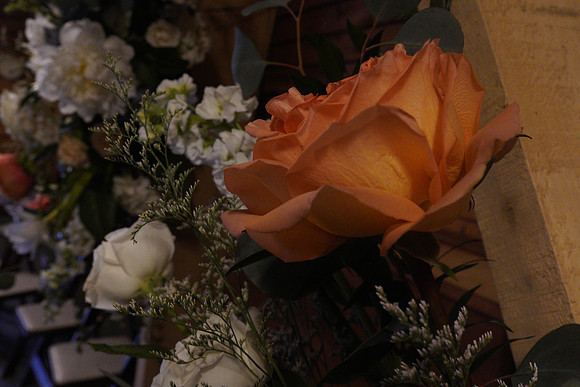 DSC04155