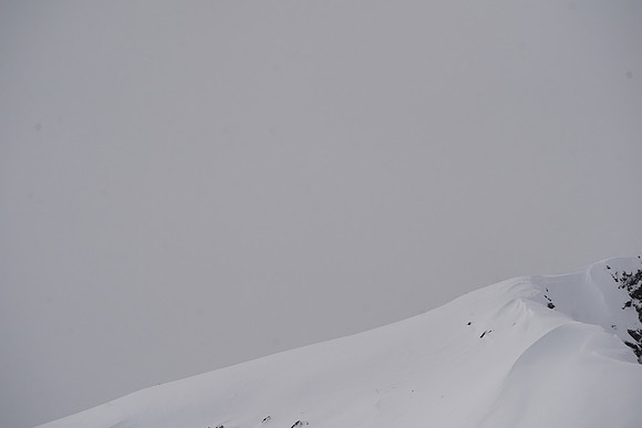 DSC06552