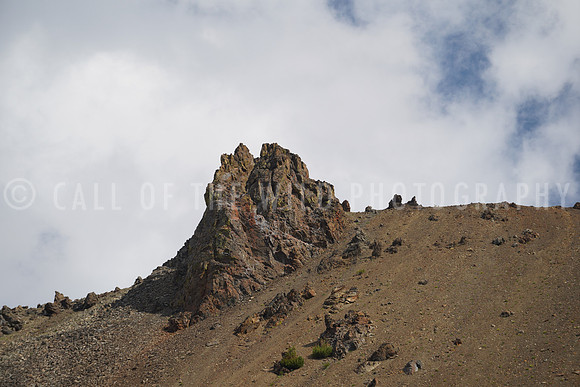 DSC09906