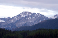 DSC05343