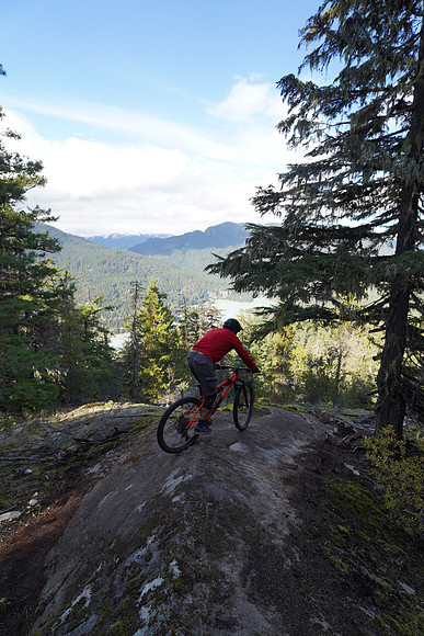 DSC02238